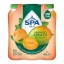 Spa | Fruit Still Mango Apricot Pet | 6 x 400 ml