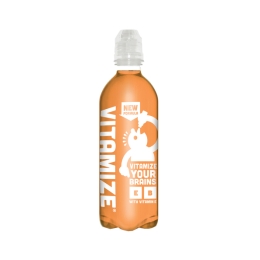 Vitamize | Passion Greentea | Pet | 12 x 500 ml