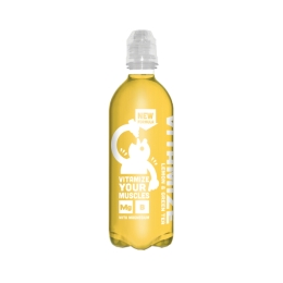 Vitamize | Lemon Greentea | Pet | 12 x 500 ml