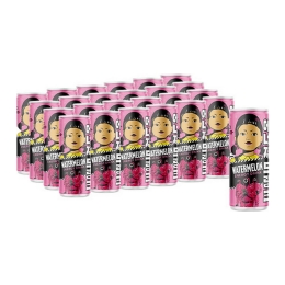 Squid Game | Energy Drink Watermeloen | 24 x 250 ml